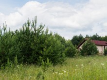 Близ оки - Участки в деревне Наткино на Blizoki.ru (Близоки.ру)