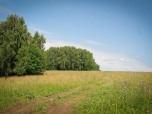 Близ оки - Заповедные поляны на Blizoki.ru (Близоки.ру)