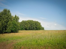 Близ оки - Заповедные поляны на Blizoki.ru (Близоки.ру)