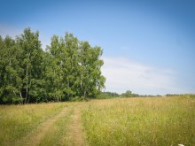 Близ оки - Заповедные поляны на Blizoki.ru (Близоки.ру)