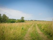 Близ оки - Заповедные поляны на Blizoki.ru (Близоки.ру)