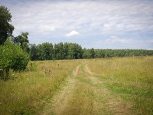 Близ оки - Заповедные поляны на Blizoki.ru (Близоки.ру)