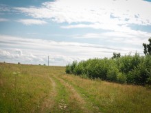 Близ оки - Заповедные поляны на Blizoki.ru (Близоки.ру)
