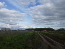 Близ оки - Березки на Blizoki.ru (Близоки.ру)