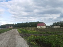 Близ оки - Березки на Blizoki.ru (Близоки.ру)
