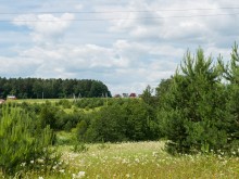 Близ оки - Участки в деревне Наткино на Blizoki.ru (Близоки.ру)
