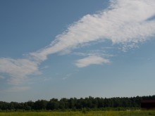 Близ оки - Одуванчиково на Blizoki.ru (Близоки.ру)