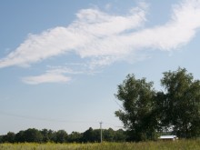 Близ оки - Одуванчиково на Blizoki.ru (Близоки.ру)