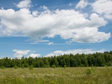Близ оки - Приволье на Blizoki.ru (Близоки.ру)