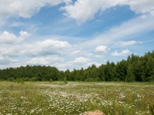 Близ оки - Приволье на Blizoki.ru (Близоки.ру)