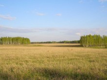 Близ оки - Романовские дворики 2 на Blizoki.ru (Близоки.ру)