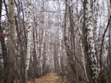 Близ оки - Романовские дворики 2 на Blizoki.ru (Близоки.ру)