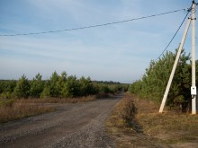 Близ оки - Сосенки на Blizoki.ru (Близоки.ру)