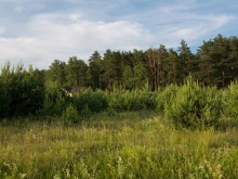 Близ оки - Сосенки на Blizoki.ru (Близоки.ру)