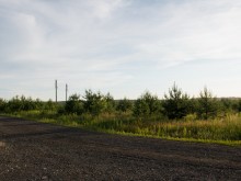 Близ оки - Сосенки на Blizoki.ru (Близоки.ру)