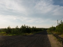 Близ оки - Сосенки на Blizoki.ru (Близоки.ру)