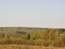 Близ оки - Тарусская поляна на Blizoki.ru (Близоки.ру)