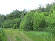 Близ оки - У семи прудов на Blizoki.ru (Близоки.ру)