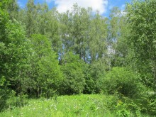 Близ оки - У семи прудов на Blizoki.ru (Близоки.ру)