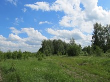 Близ оки - У семи прудов на Blizoki.ru (Близоки.ру)