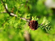 Близ оки - Велегож-Парк Смарт на Blizoki.ru (Близоки.ру)