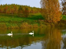 Близ оки - Велегож-Парк Смарт на Blizoki.ru (Близоки.ру)
