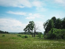 Близ оки - Первоцветово на Blizoki.ru (Близоки.ру)