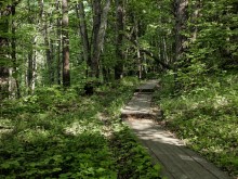 Близ оки - Велегож Парк Комфорт 2 на Blizoki.ru (Близоки.ру)