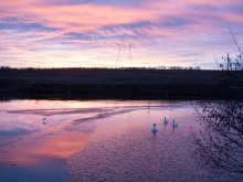 Близ оки - Велегож Парк Комфорт 2 на Blizoki.ru (Близоки.ру)