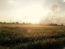 Близ оки - Велегож Парк Комфорт 2 на Blizoki.ru (Близоки.ру)