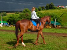 Близ оки - Велегож Парк Комфорт 2 на Blizoki.ru (Близоки.ру)