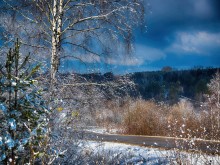 Близ оки - Велегож Парк Комфорт 2 на Blizoki.ru (Близоки.ру)