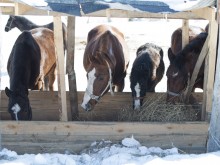 Близ оки - Велегож Парк Комфорт 2 на Blizoki.ru (Близоки.ру)