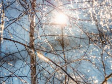 Близ оки - Серёжки-на-холме на Blizoki.ru (Близоки.ру)