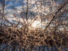 Близ оки - Серёжки-на-холме на Blizoki.ru (Близоки.ру)