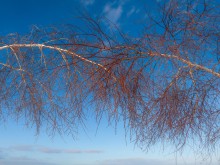 Близ оки - Серёжки-на-холме на Blizoki.ru (Близоки.ру)