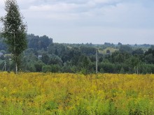 Близ оки - Серёжки-на-холме на Blizoki.ru (Близоки.ру)