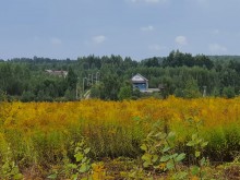 Близ оки - Серёжки-на-холме на Blizoki.ru (Близоки.ру)