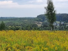 Близ оки - Серёжки-на-холме на Blizoki.ru (Близоки.ру)