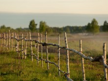 Близ оки - Серёжки-на-холме на Blizoki.ru (Близоки.ру)