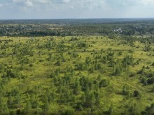 Близ оки - Серёжки-на-холме на Blizoki.ru (Близоки.ру)