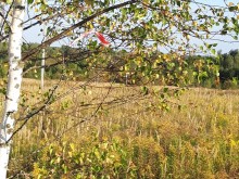 Близ оки - Серёжки-на-холме на Blizoki.ru (Близоки.ру)