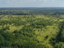 Близ оки - Серёжки-на-холме на Blizoki.ru (Близоки.ру)