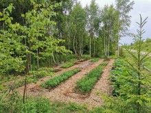 Близ оки - Серёжки-на-холме на Blizoki.ru (Близоки.ру)