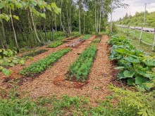 Близ оки - Серёжки-на-холме на Blizoki.ru (Близоки.ру)
