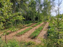 Близ оки - Серёжки-на-холме на Blizoki.ru (Близоки.ру)