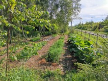 Близ оки - Серёжки-на-холме на Blizoki.ru (Близоки.ру)