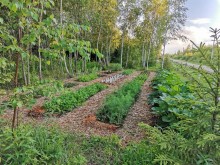 Близ оки - Серёжки-на-холме на Blizoki.ru (Близоки.ру)