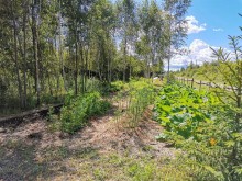 Близ оки - Серёжки-на-холме на Blizoki.ru (Близоки.ру)