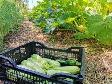 Близ оки - Серёжки-на-холме на Blizoki.ru (Близоки.ру)